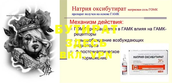 гидра Каменка