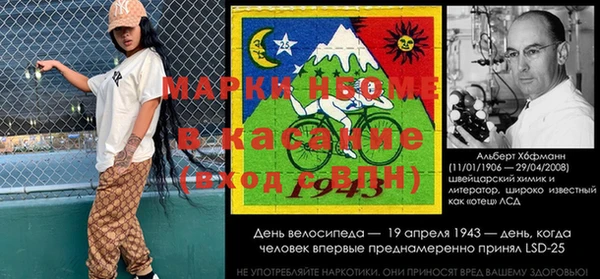 гидра Каменка