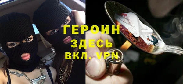 индика Карпинск