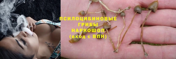ECSTASY Инта