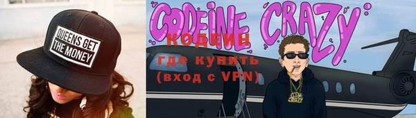 гидра Каменка