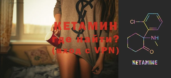 гидра Каменка