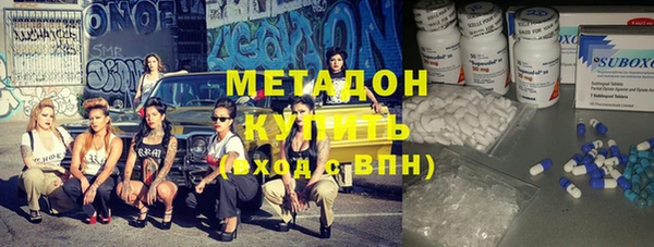 гидра Каменка