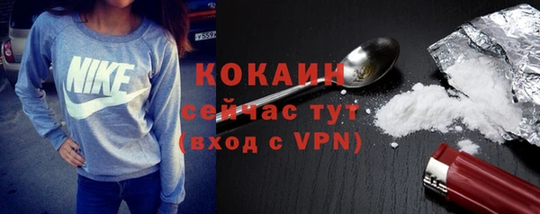 гидра Каменка