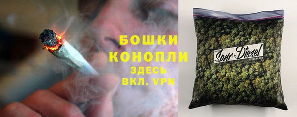 дмт Каменногорск