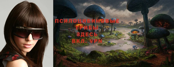 гидра Каменка